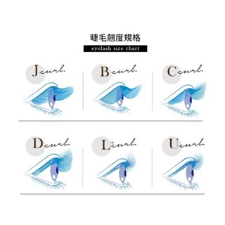 不挑眼型 睫老闆 完美豐盈五葉草 0.07 一束5根 睫毛 台南美睫 中式睫毛 三葉草 中式睫毛 美睫材料 小紅書睫毛-細節圖4