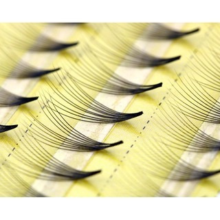 便利花 朵毛 美睫材料  10根一束 便利花 六Ｄ自動開花 快速嫁接 編織爆濃 自然 假睫毛 美睫娜娜-細節圖3