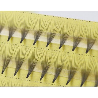 便利花 朵毛 美睫材料  10根一束 便利花 六Ｄ自動開花 快速嫁接 編織爆濃 自然 假睫毛 美睫娜娜-細節圖4