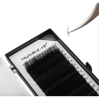 練習睫毛 0.07  捲翹 嫁接睫毛 開花毛 美睫娜娜 綜合板 黑色 假睫毛 新手必備 方便嫁接 便宜好物 美睫娜娜-細節圖3