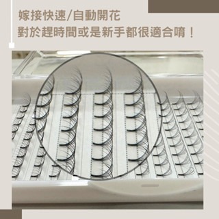 現貨 6D 大開花朵毛 便利花 朵毛 便利朵毛 6D朵毛 自動開花 朵毛 朵花 嫁接睫毛 便利花 美睫 美睫娜娜-細節圖2