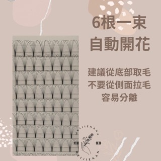 現貨 6D 大開花朵毛 便利花 朵毛 便利朵毛 6D朵毛 自動開花 朵毛 朵花 嫁接睫毛 便利花 美睫 美睫娜娜-細節圖3