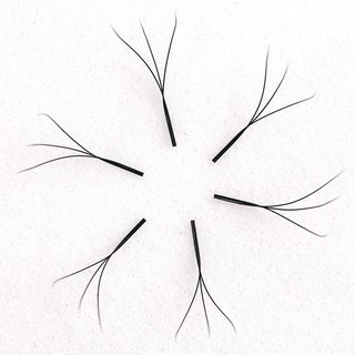 三葉草 睫毛 0.05 美睫 朵毛 不散根睫毛 嫁接睫毛 美睫睫毛 便利花 美睫材料 睫毛工具 美睫娜娜-細節圖3