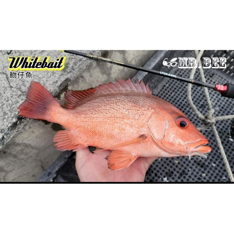 （八珍）莎美  粗骨 蜜蜂先生 鉛頭鉤 超強力  超好用 海釣場  石斑  大物-細節圖3