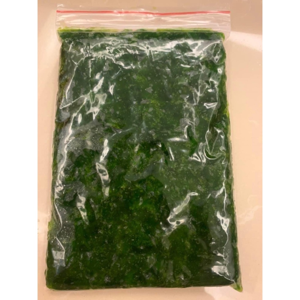 澎湖野生級綠金天然海菜-細節圖2