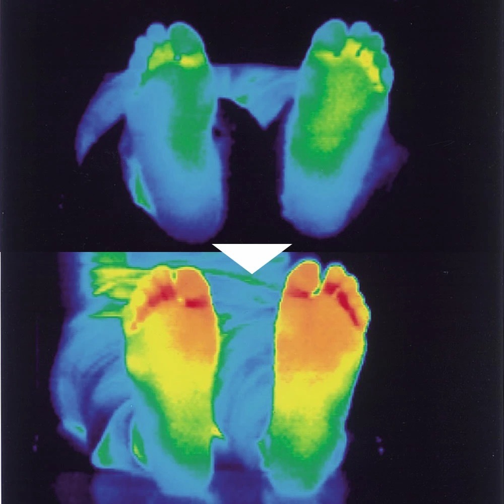 1082【日本 ALPHAX 磁力腳套 磁石減壓腳套 減壓 磁石套 舒緩足部 磁氣 疲勞救星 足用 磁氣 磁力 】黑色-細節圖4