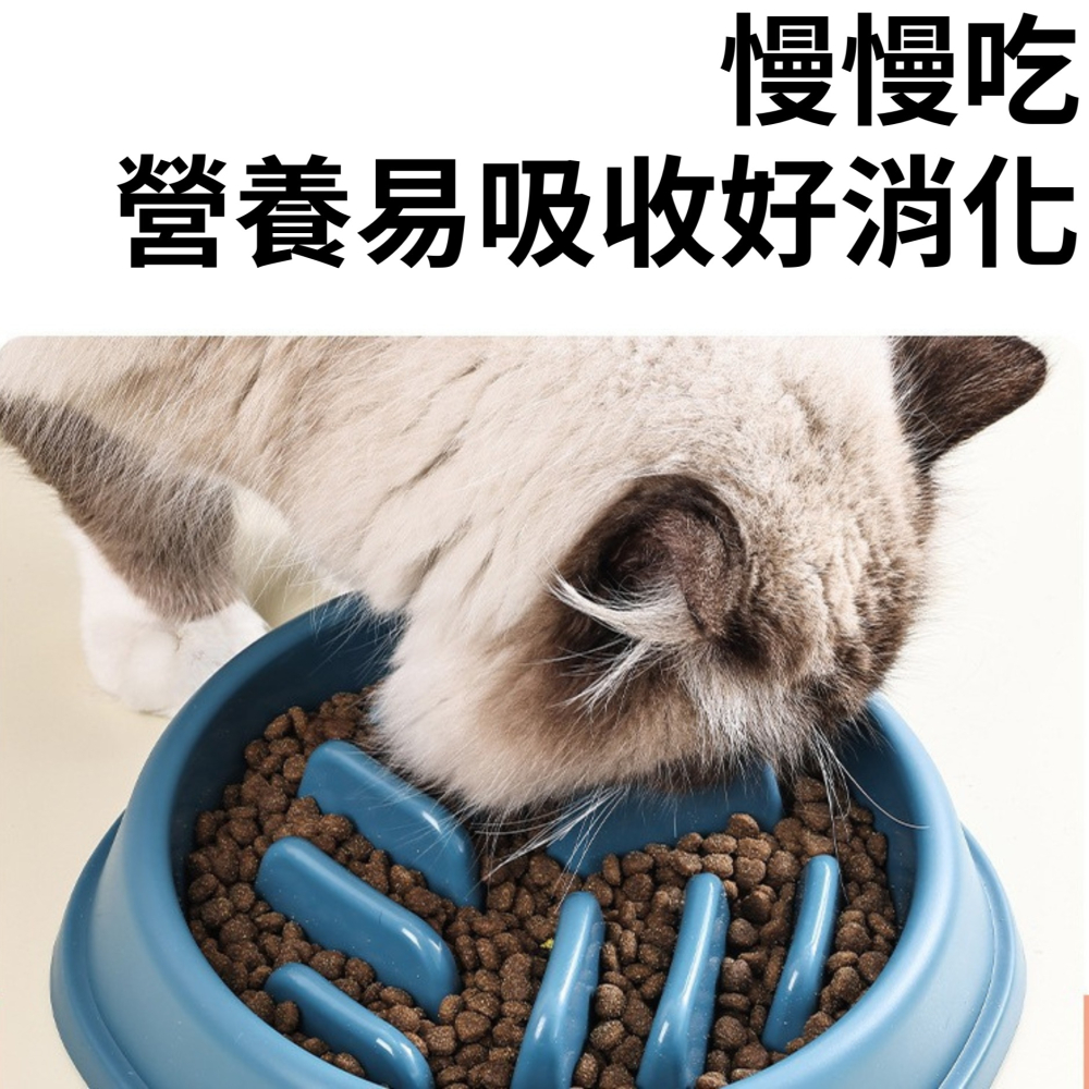 寵物慢食碗 寵物碗 貓碗 狗碗 飼料碗 喝水碗 慢食碗 塑膠碗 餵食容器 貓萬寵物店-細節圖4