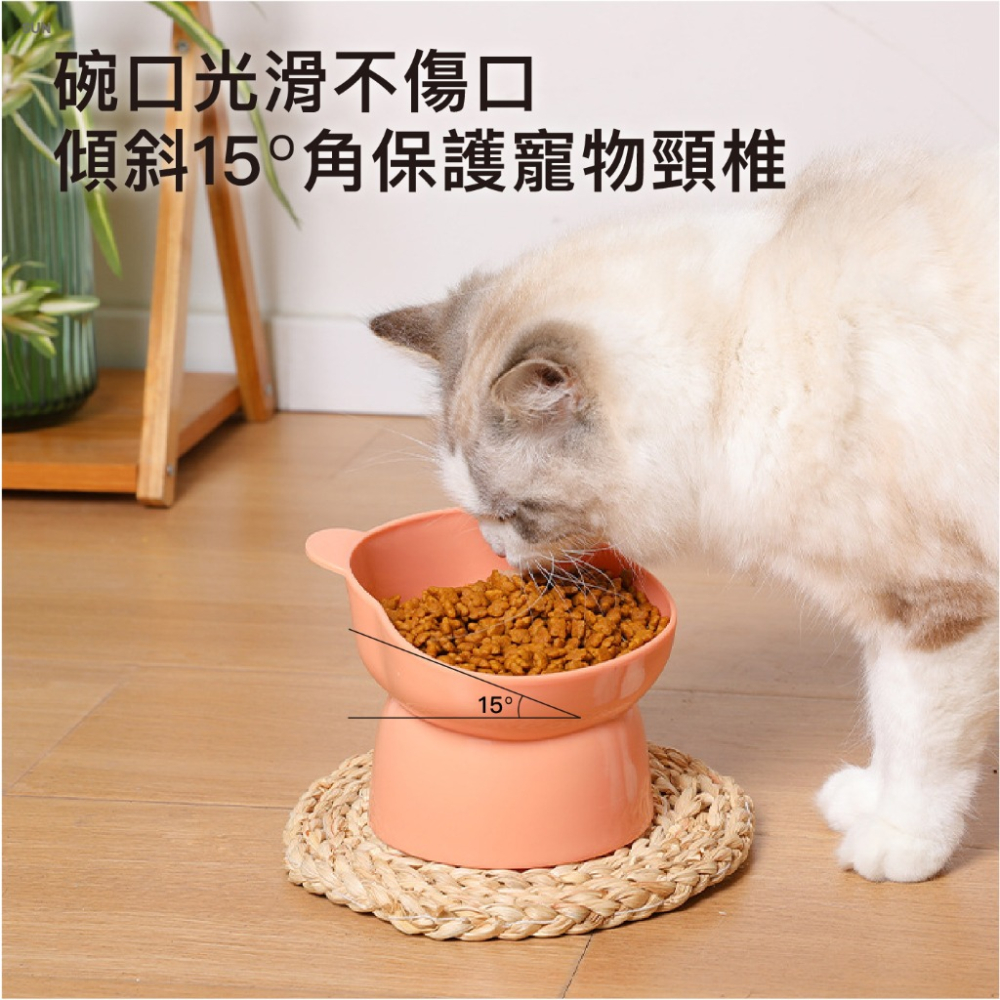 寵物斜口碗 護頸碗 寵物碗 水碗 飼料碗-細節圖4