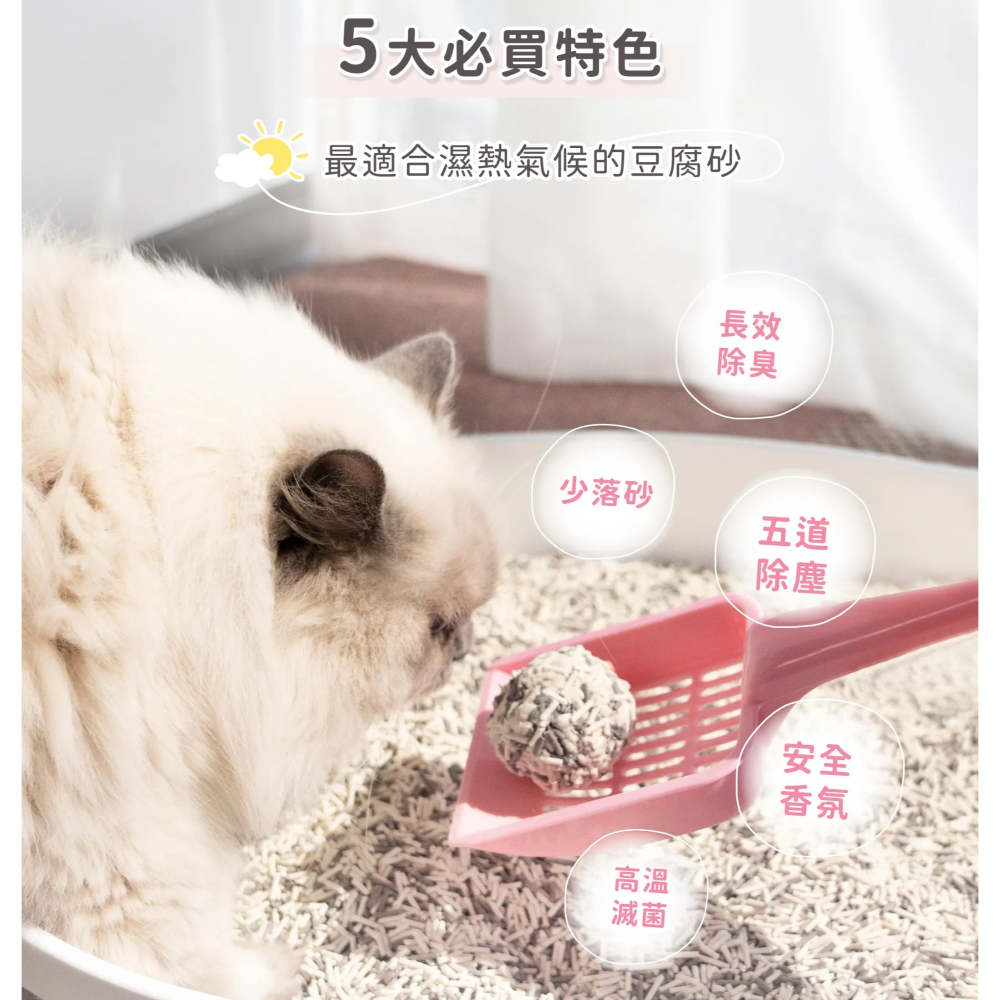 超凝小姐貓砂 豆腐砂 低粉塵貓砂 貓砂 超凝小姐 超凝貓砂 除臭貓砂 快速凝結 低粉塵-細節圖3