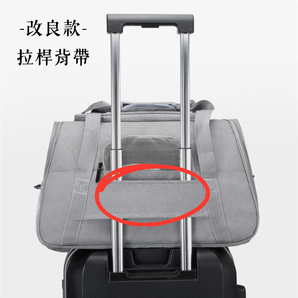 透氣寵物背包 寵物外出包 貓包 寵物背包 手提包 透氣寵物背包-細節圖3