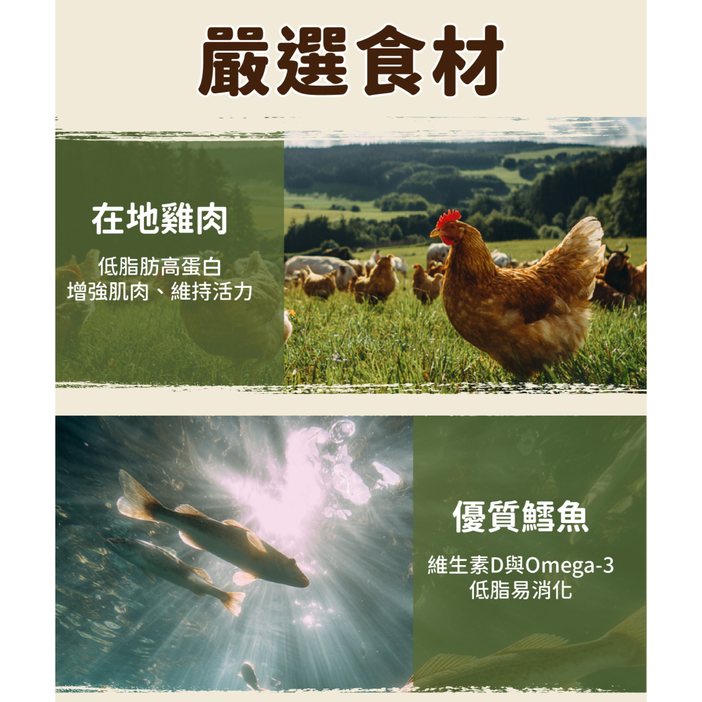 飼時候 微穀貓糧 鮮雞鱈魚 挑嘴貓飼料 貓飼料 全齡貓飼料 飼糧倉-細節圖5