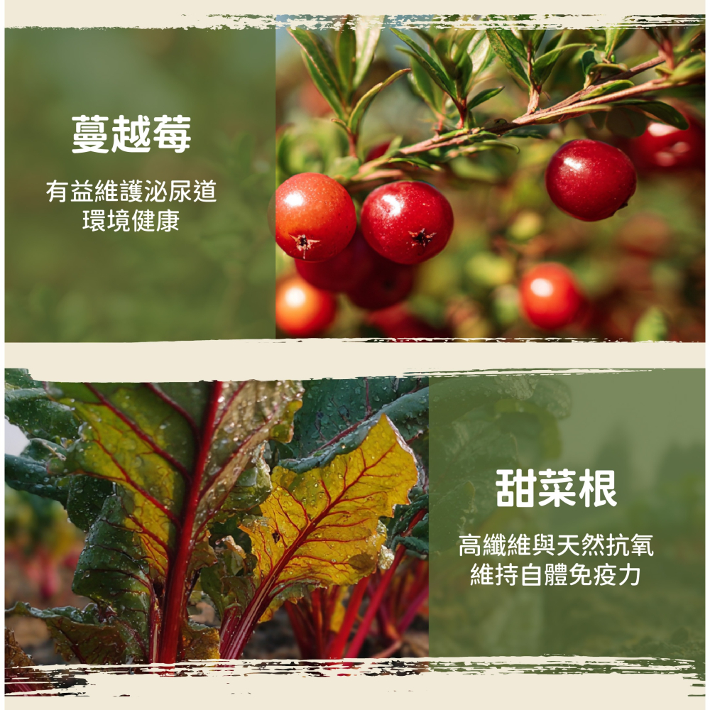 飼時候 微穀貓糧 鮮雞鱈魚 挑嘴貓飼料 貓飼料 全齡貓飼料 飼糧倉-細節圖6