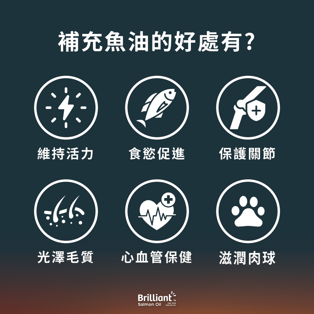 威比鮭魚油 挪威鮭魚油 寵物營養品 鮭魚油 威比 純鮭魚油 Brilliant 寵物魚油 貓魚油 狗魚油-細節圖3