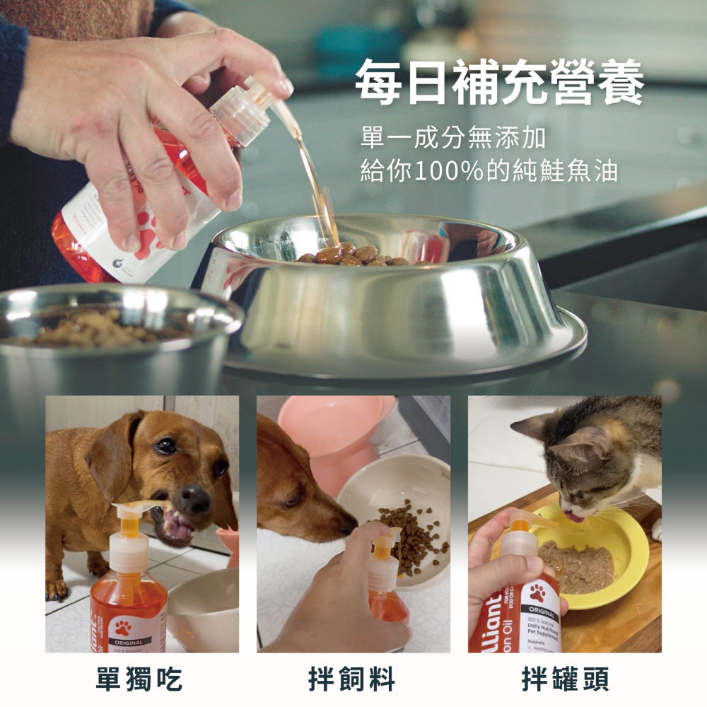 威比鮭魚油 挪威鮭魚油 寵物營養品 鮭魚油 威比 純鮭魚油 Brilliant 寵物魚油 貓魚油 狗魚油-細節圖6