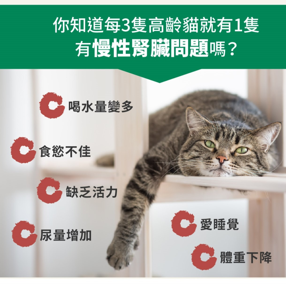 PS BUBU 寵樂腎 寵物保健品 犬貓保健 腎臟保健 腎臟保健專科寵樂腎-細節圖5