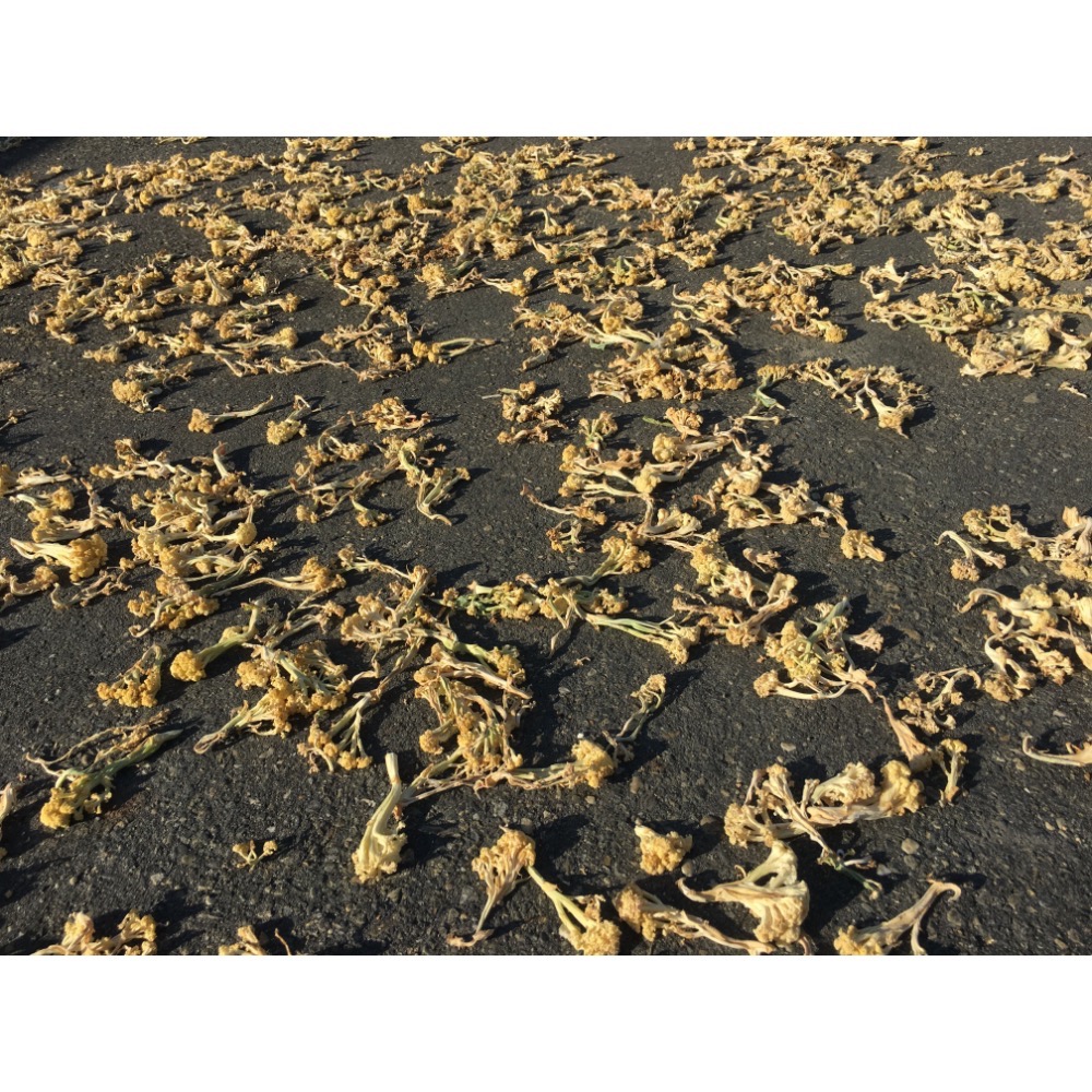 【鹿港阿政】花椰菜乾-古早味-細節圖5