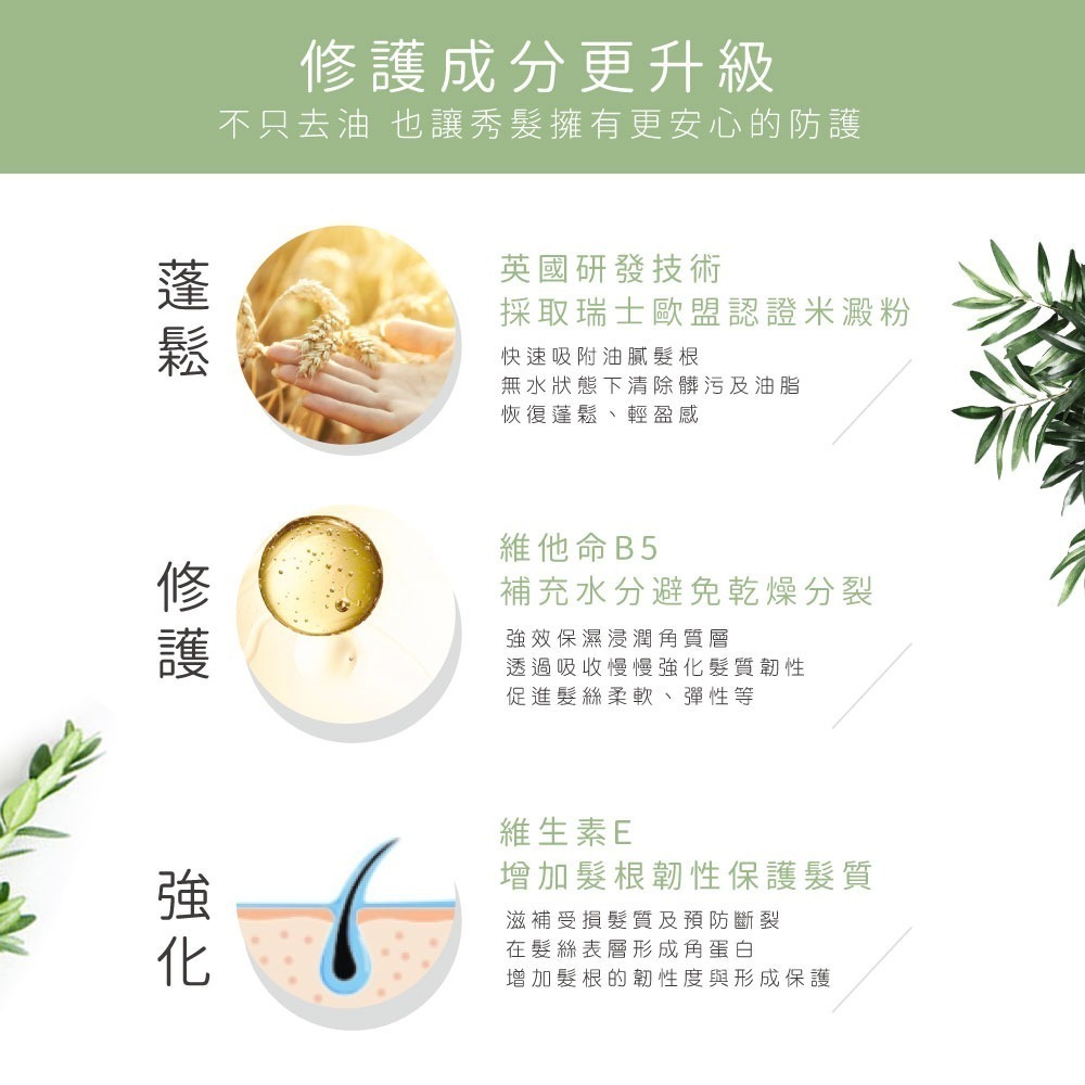 【JBLIN】2入組 植萃乾洗髮霧系列 300ml 夏日必備 油頭救星-細節圖4