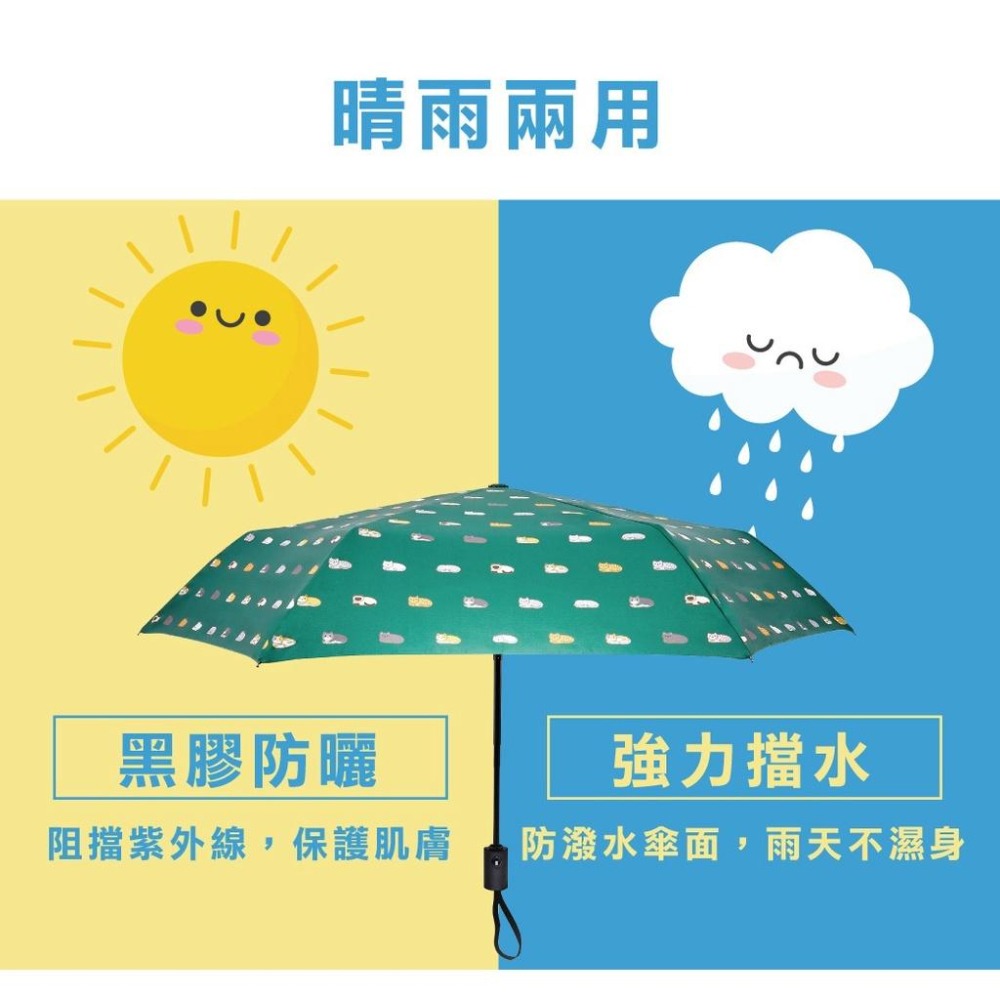 【周傳】雨傘 現貨 自動傘 傘 折疊傘 猫咪雨傘 貓咪 兒童自動傘 陽傘 遮陽傘 雨傘袋 摺疊傘 晴雨傘 快速出貨-細節圖4