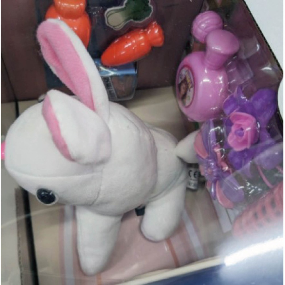 台灣全新現貨 絨毛兔兔寵物籠 家家酒 玩具 可愛 狗玩偶 兔子 娃娃 女孩送禮 3歲以上-細節圖3