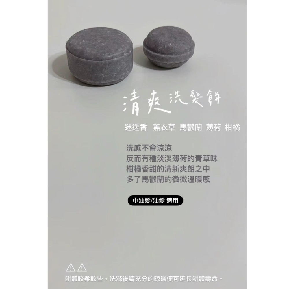 清爽森呼吸洗髮餅 （中油性、油性髮）-細節圖3