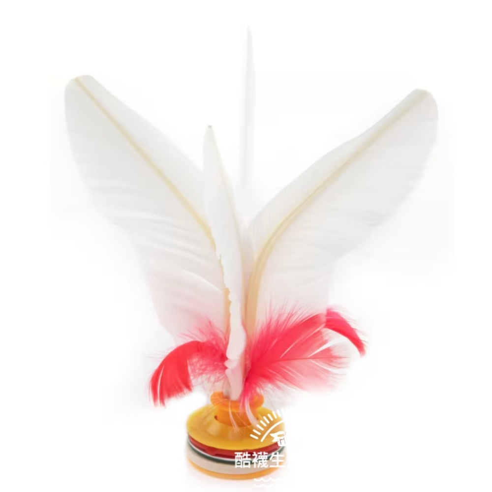 【橦年夢想百貨行】毽子(大)、健身運動毽子、DOMYOS、運動用品、#4826255、健身、皮拉提斯-細節圖3