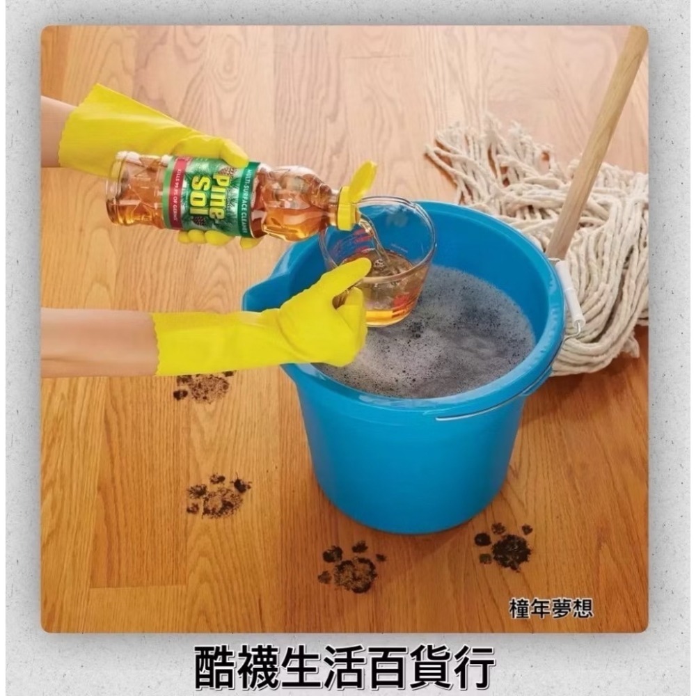 【橦年夢想百貨行】好市多直送 Pine-Sol 兩倍濃縮 松木香 多用途清潔劑 1.77公升 X 2入、#1805039-細節圖3