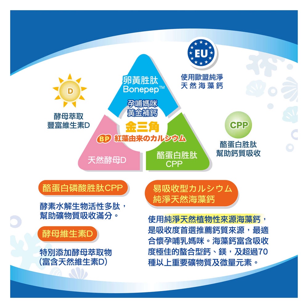 孕哺兒 新一代BP媽媽鈣片+D咀嚼片150粒-細節圖4