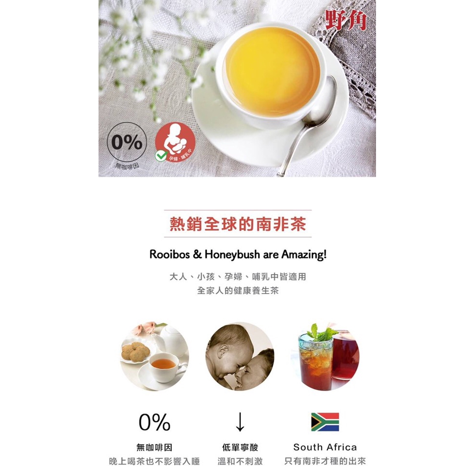 野角 Wild Cape 南非博士綠茶（40茶包/罐）-細節圖2