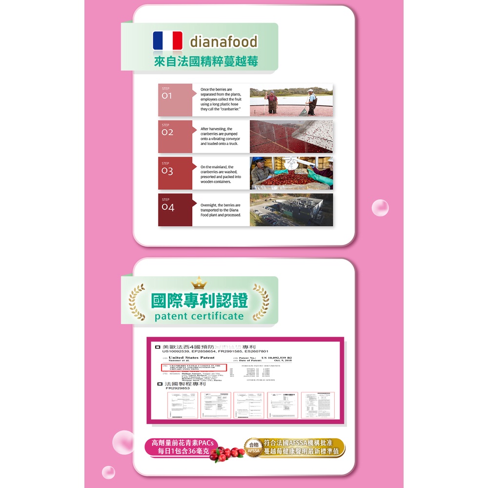 孕哺兒 清新蔓越莓+益生菌膠囊 60粒-細節圖6