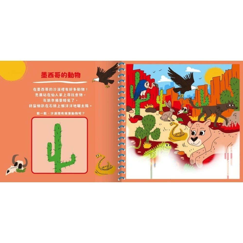 禾流文創 神奇的隱形水畫冊（世界動物在這裡/可愛動物在這裡/神秘恐龍在這裡/交通工具在這裡）-細節圖2