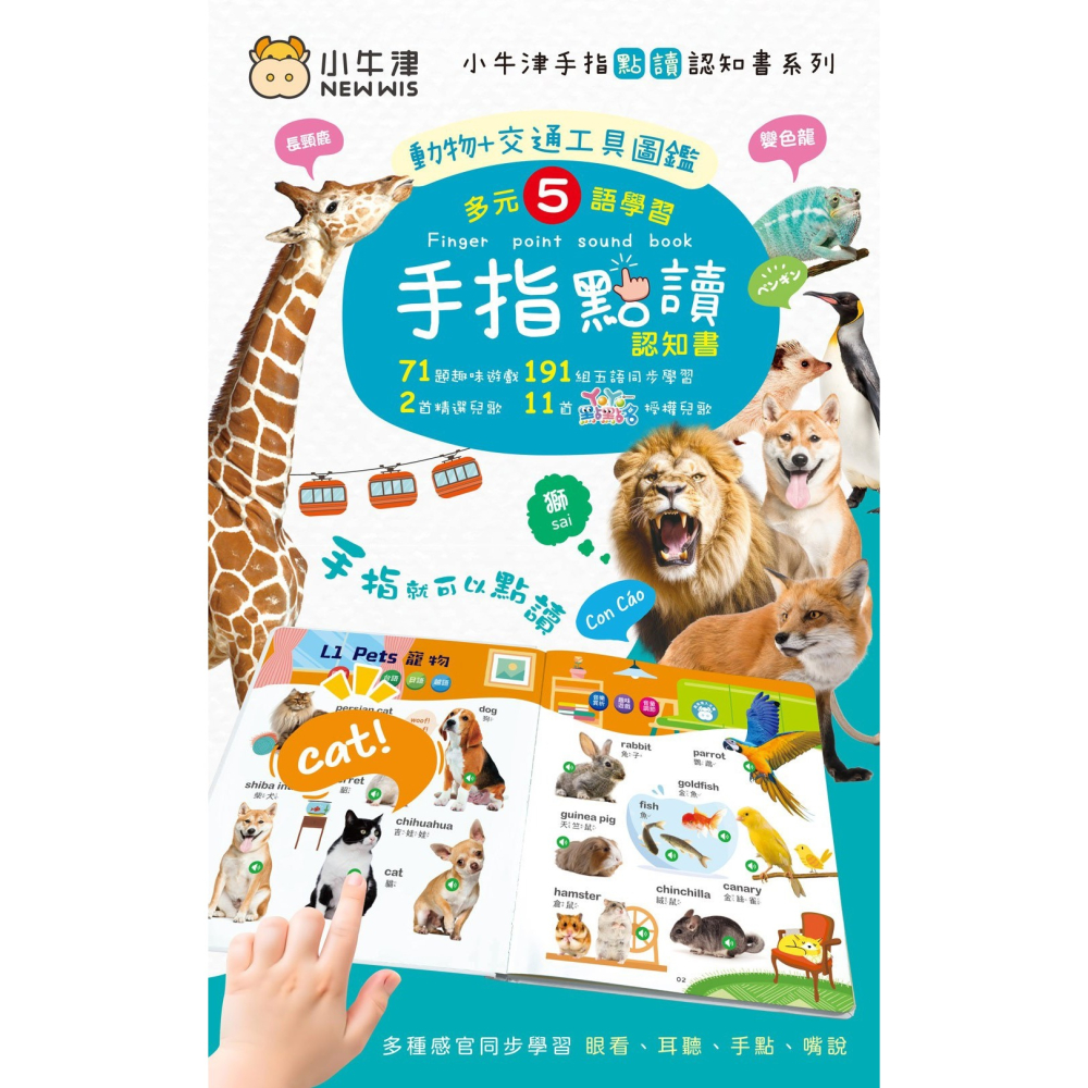小牛津 手指點讀認知書（ㄅㄆㄇ+ABC+123 / 動物+交通工具圖鑑）-細節圖8