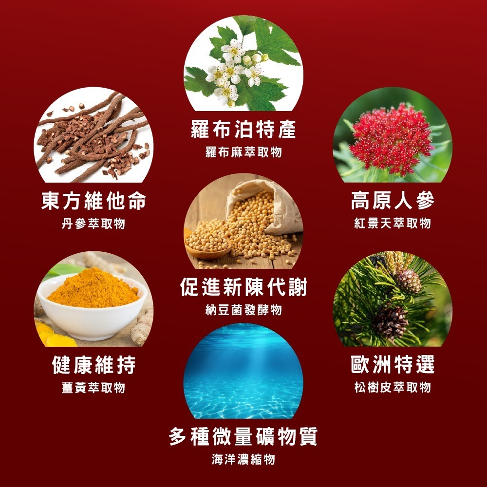 威瑪舒培×甜蜜家族 循利寧®利順素食膠囊PLUS－全素可食 90粒/盒-細節圖3