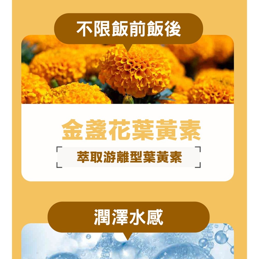 威瑪舒培×甜蜜家族 舒利視增量版2.0液態膠囊 60顆/盒-細節圖7