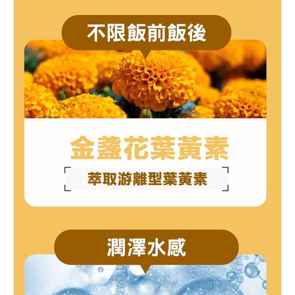 威瑪舒培×甜蜜家族 舒利視增量版2.0液態膠囊 60顆/盒-細節圖8