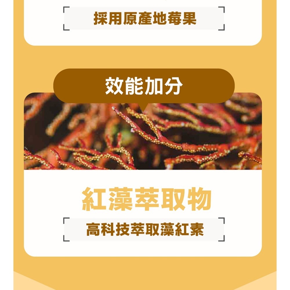 威瑪舒培×甜蜜家族 舒利視增量版2.0液態膠囊 60顆/盒-細節圖10