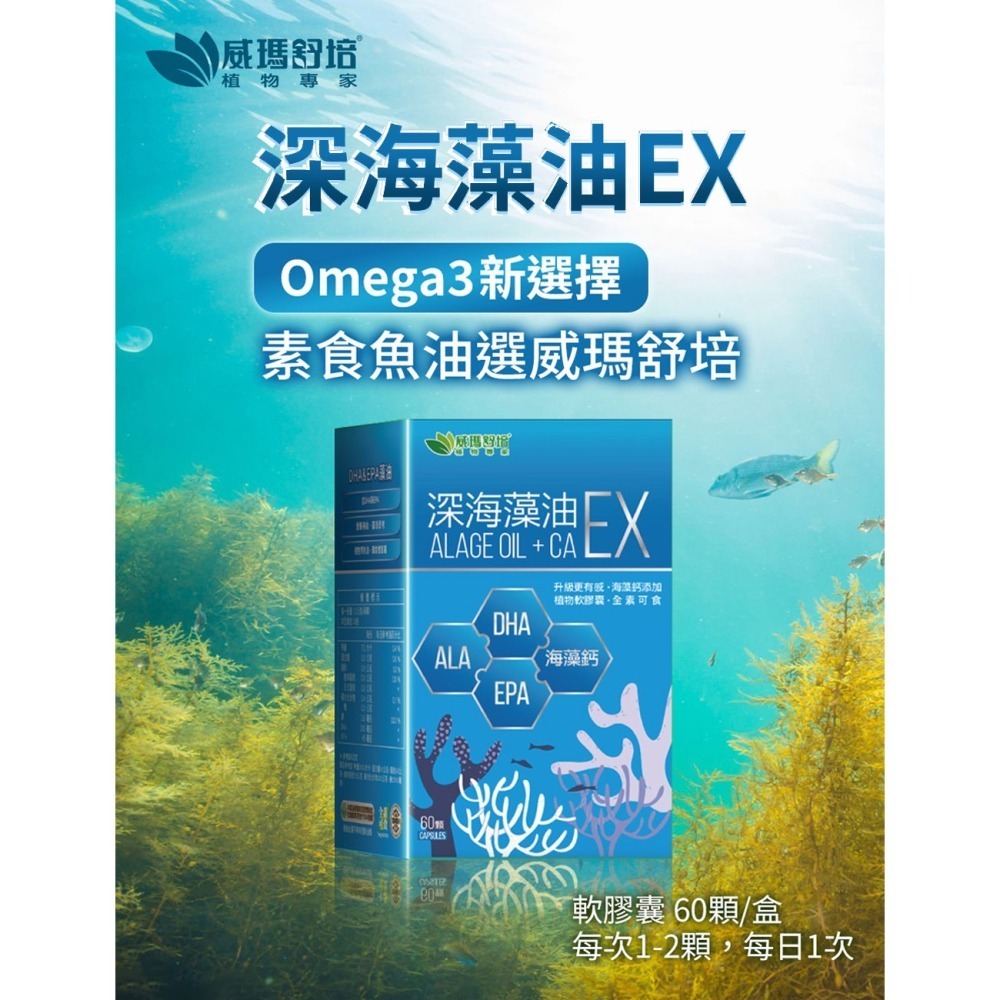 威瑪舒培×甜蜜家族 深海藻油EX 60顆/盒｜藻油DHA紫蘇油 調節體質 全素可食-細節圖2