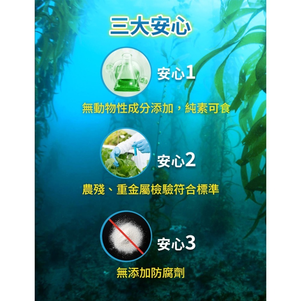 威瑪舒培×甜蜜家族 深海藻油EX 60顆/盒｜藻油DHA紫蘇油 調節體質 全素可食-細節圖5