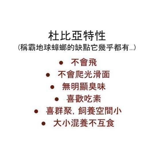[黃金小杜] 黃金杜比亞 杜比亞 專用特調寵物飼料顆粒 1-3.5-細節圖3