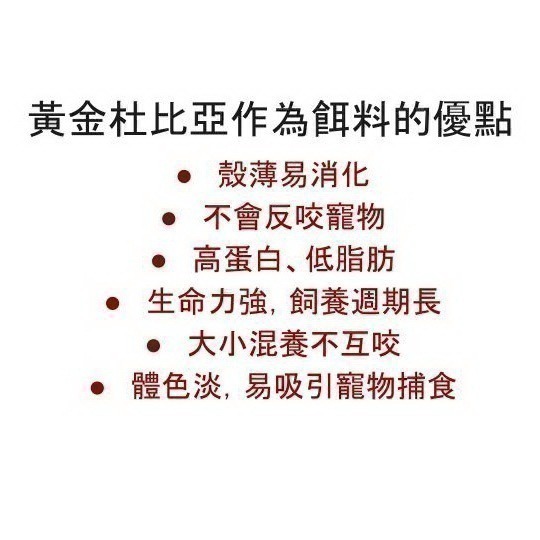 [黃金小杜] 黃金杜比亞 杜比亞 專用特調寵物飼料顆粒 1-3.5-細節圖4
