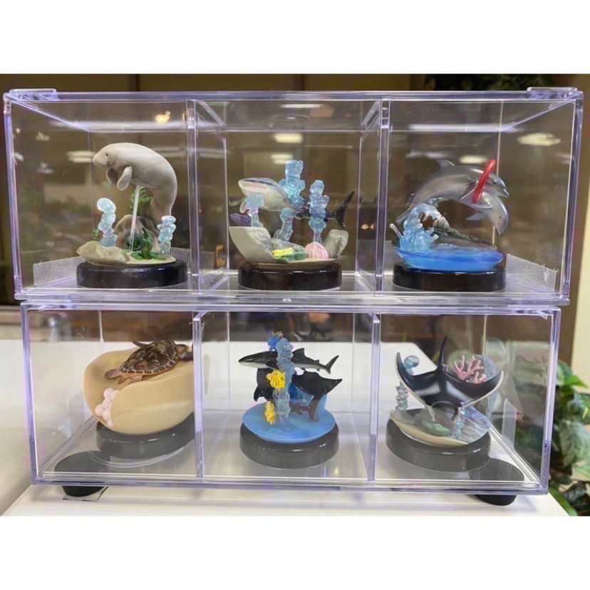 (客訂)日本 沖繩 美麗海水族館 限定 一套6款 Qualia 海洋 鯨鯊 海豚 魟魚 海龜 海象 鯊魚 扭蛋-細節圖2