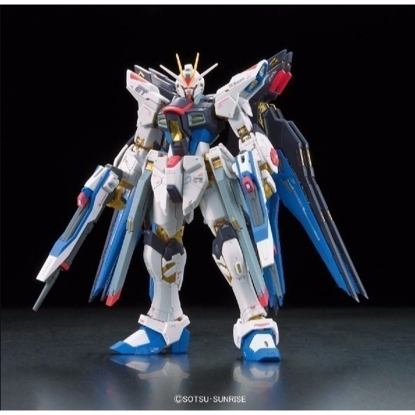 [那間店]BANDAI RG 1/144 #14 ZGMF-X20A 攻擊自由鋼彈 5061617-細節圖2