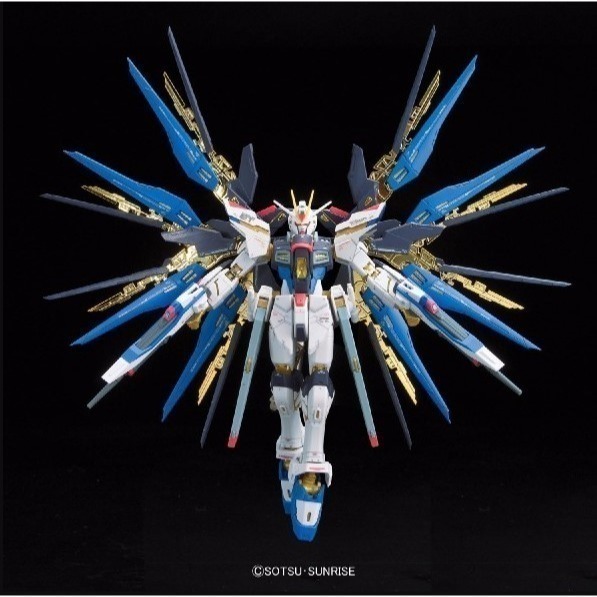 [那間店]BANDAI RG 1/144 #14 ZGMF-X20A 攻擊自由鋼彈 5061617-細節圖3