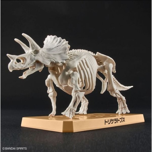 [那間店]BANDAI 新恐龍 #02 三角龍 組裝模型 5064263-細節圖7