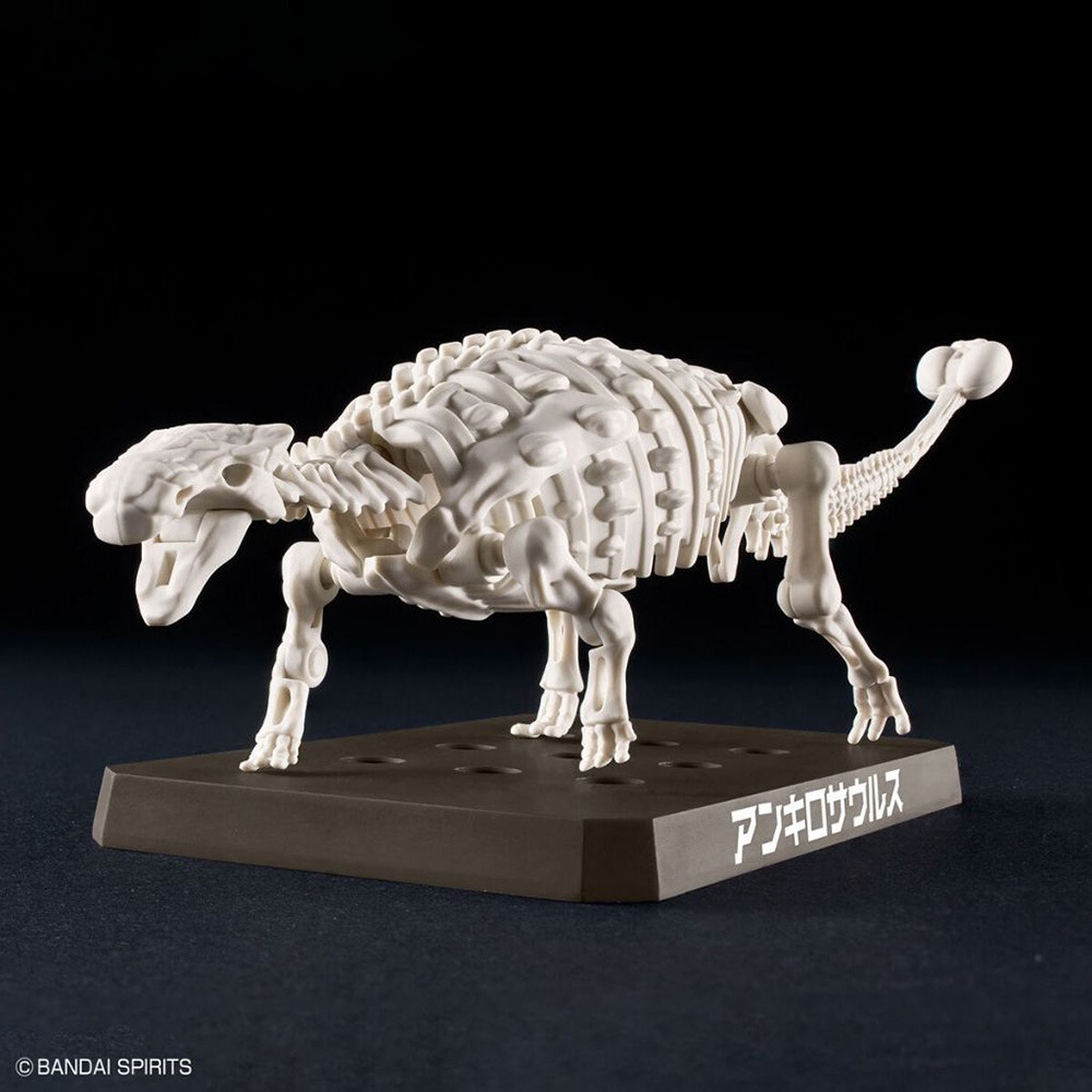 [那間店]BANDAI 新恐龍 #06 甲龍 組裝模型 5065702-細節圖8