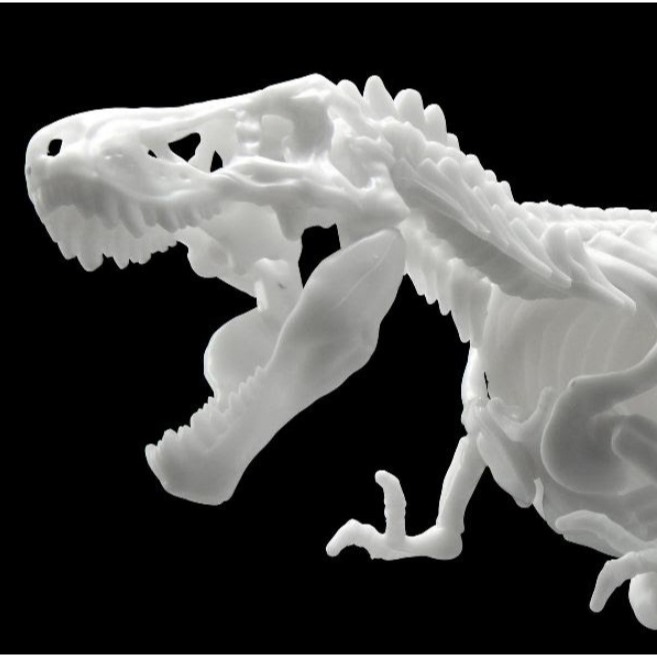 [那間店]BANDAI LIMEX 恐龍骨骼 暴龍 組裝模型 5061659-細節圖4