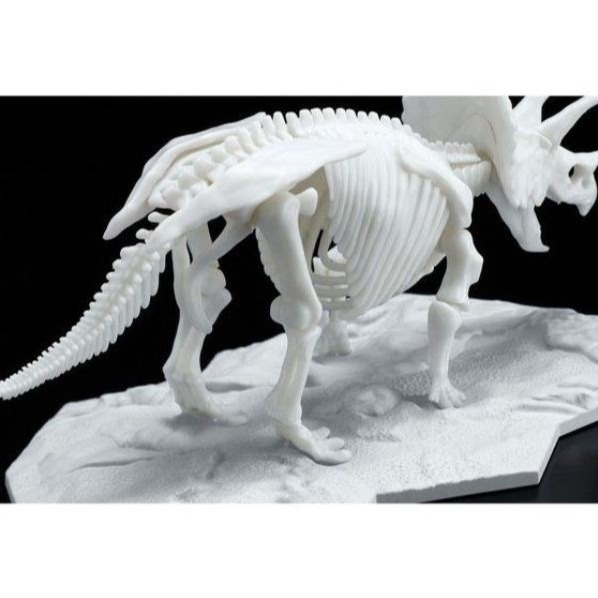 [那間店]BANDAI LIMEX 恐龍骨骼 三角龍 組裝模型 5061660-細節圖3