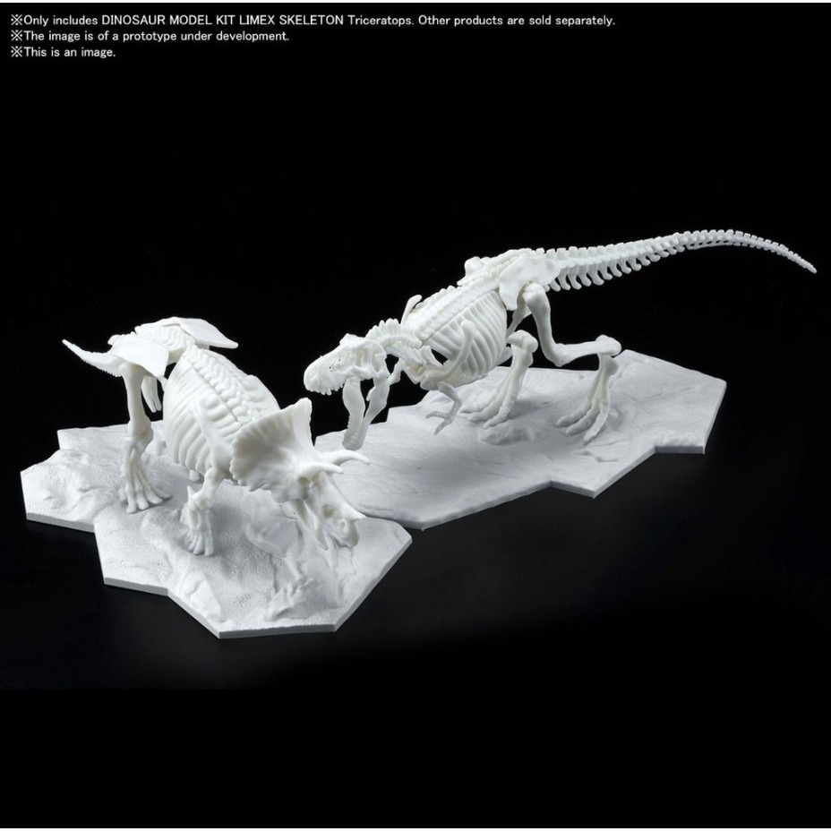 [那間店]BANDAI LIMEX 恐龍骨骼 三角龍 組裝模型 5061660-細節圖4