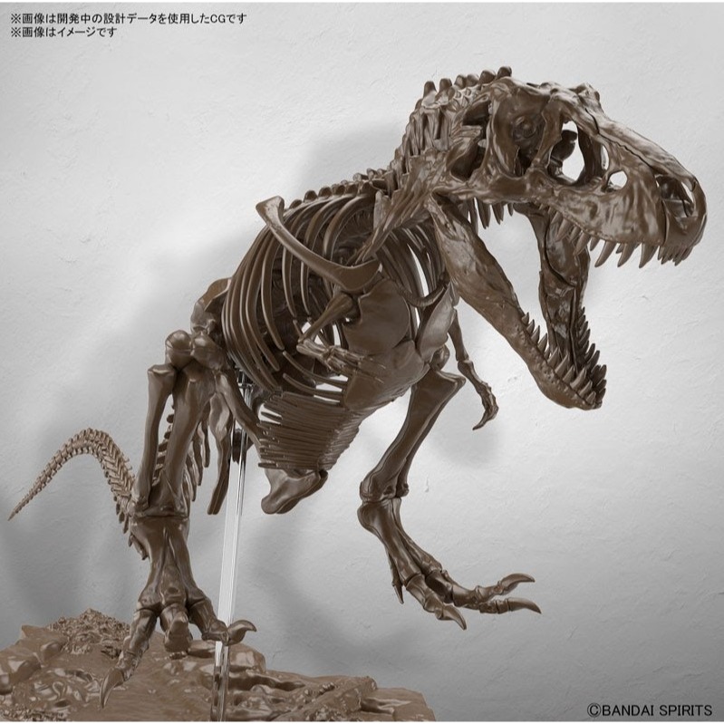 [那間店]BANDAI 1/32 幻想骨骼系列 暴龍 組裝模型 5061800-細節圖3