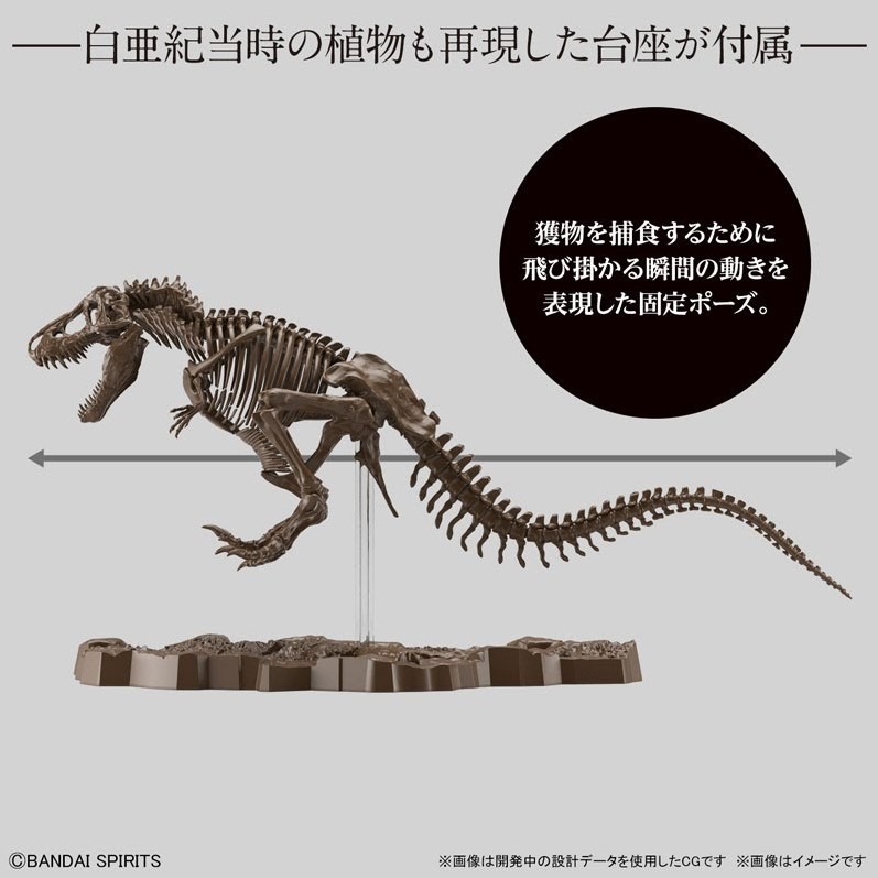 [那間店]BANDAI 1/32 幻想骨骼系列 暴龍 組裝模型 5061800-細節圖4