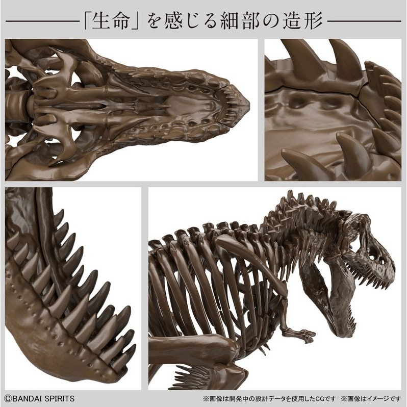 [那間店]BANDAI 1/32 幻想骨骼系列 暴龍 組裝模型 5061800-細節圖5